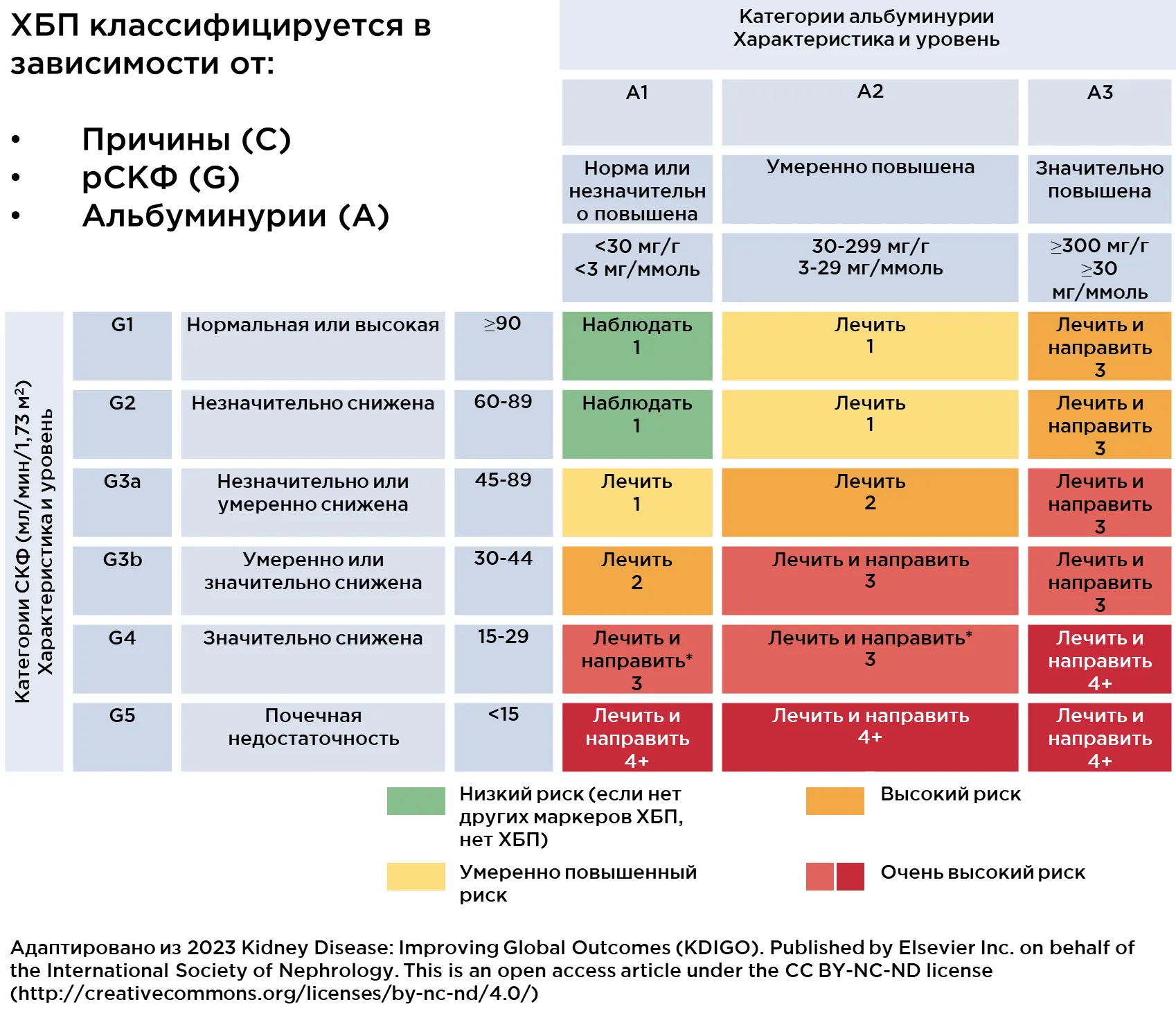 ХБП классифицируется рис 1