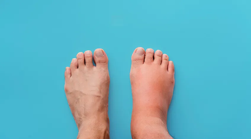 shutterstock_1505467091 copy1