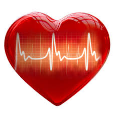 МТС Линк: вебинар 23440003120